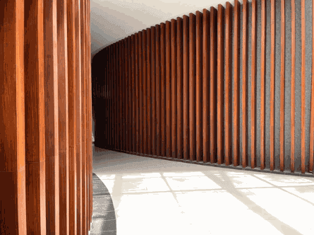 Curved timber slat wall installed in a contemporary workplace